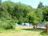 Camping Het Hallse Hull
