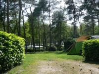 Pitches on Camping Zuid Ginkel (1)