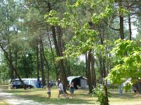 Tents and trees
