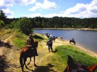 Horseriding in nature