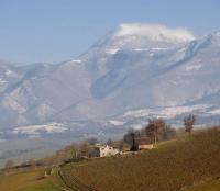 Nicely situated in the hills of the Marken, with on the background the mountains around Fabriano.