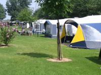 Pitches on Camping De Sangershoeve