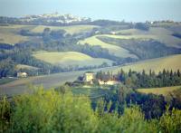 On top of a hill in the rolling countryside of Pesaro-Urbino, at the foot of Barchi, Orciano and Mondavio, is the agriturismo Montesoffio.
